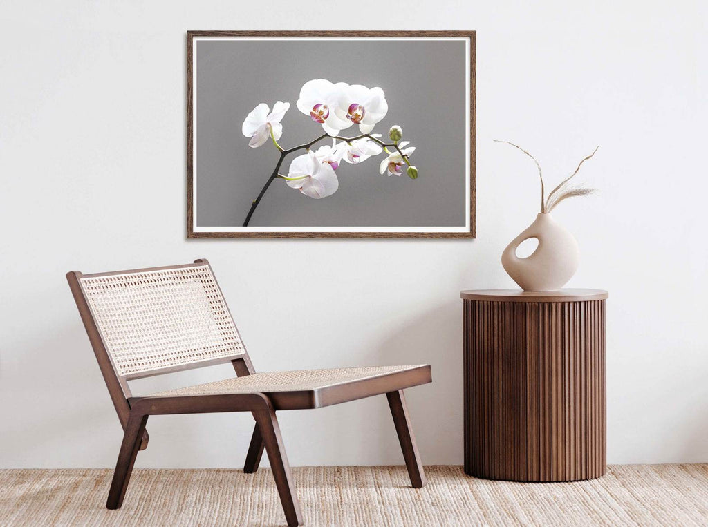 Dhalia Poster - Hakyarts