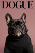 Dogue – French Bulldog Fashion Cover – Minimalist Wall Art Print