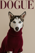 Dogue – Husky Fashion Cover – Minimalist Wall Art Print