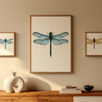 Dragonfly Specimen Posters – Set of 3 - Hakyarts