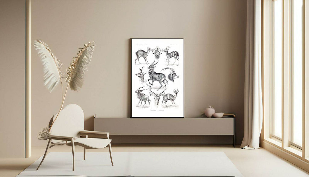 Ernst Haeckel - Antilopina 'Antilopen' - Hakyarts