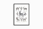 Ernst Haeckel - Antilopina 'Antilopen' - Hakyarts