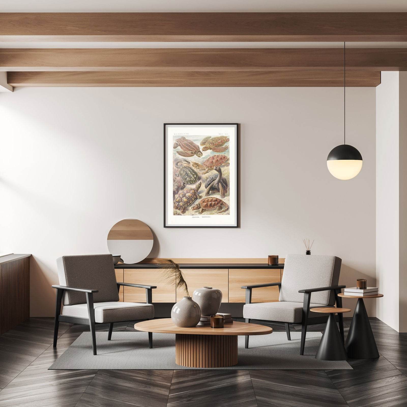 Ernst Haeckel - Chelonia 'Schildkröten' - Hakyarts