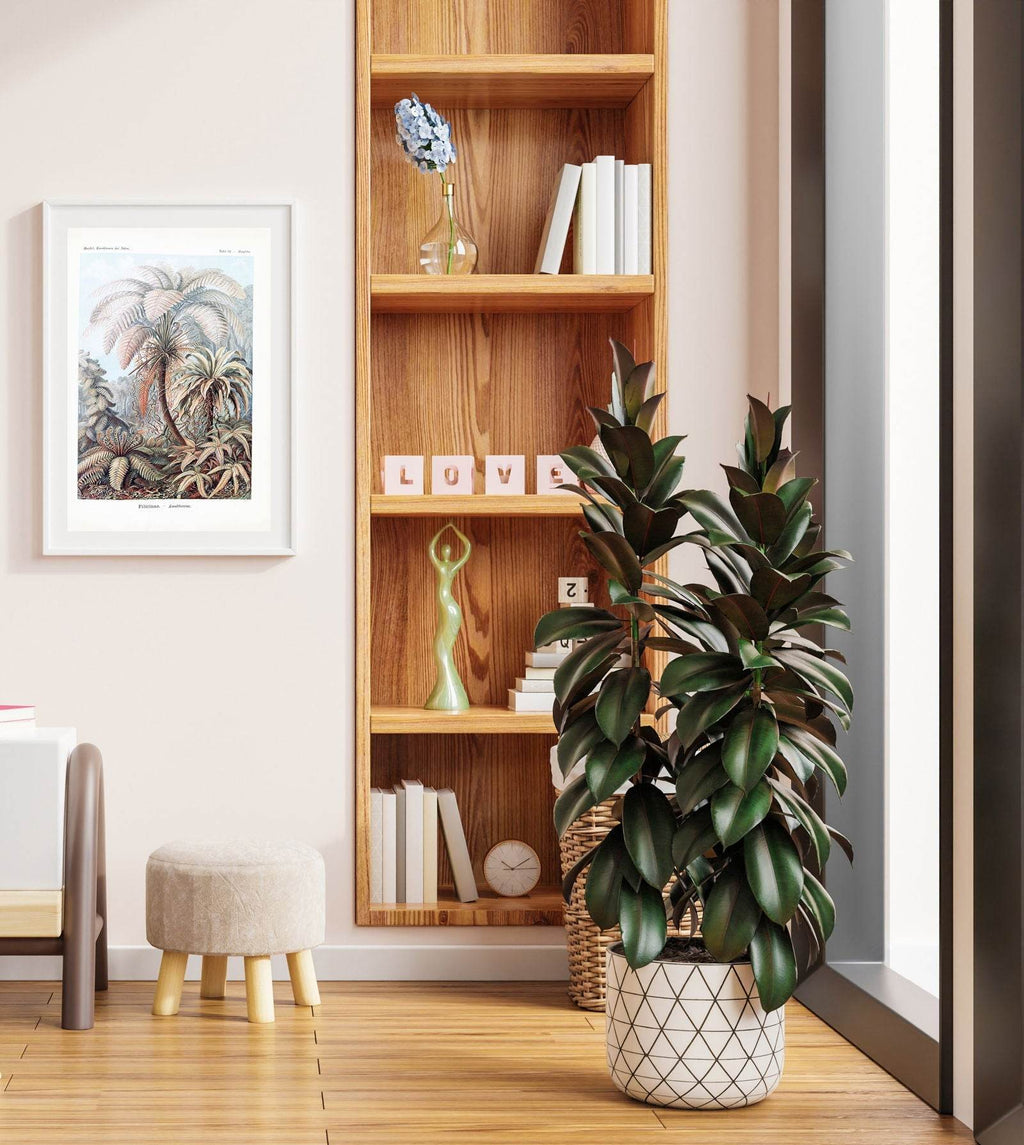 Ernst Haeckel - Filicinae 'Laubfarne' - Hakyarts