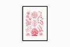 Ernst Haeckel - Florideae 'Rotalgen' - Hakyarts