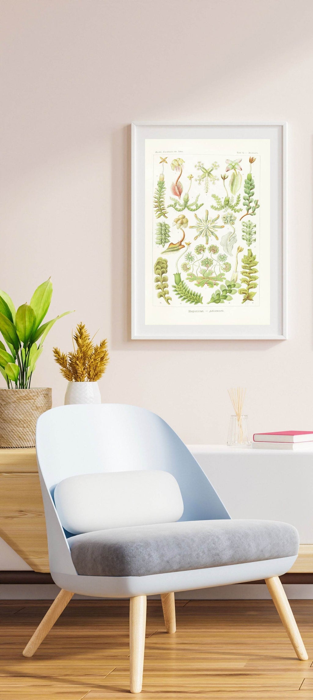 Ernst Haeckel - Hepaticae 'Lebermoose' - Hakyarts