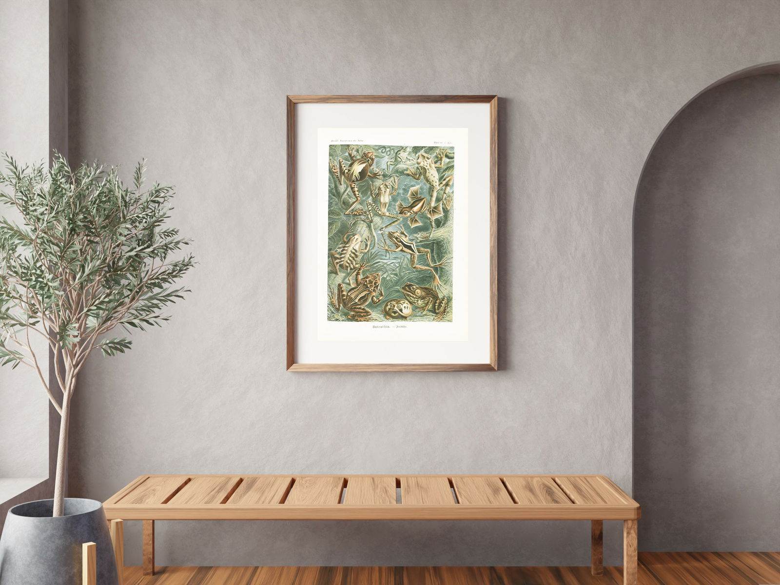 Ernst Haeckel - Lacertilia 'Eidechlen' - Hakyarts