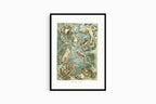 Ernst Haeckel - Lacertilia 'Eidechlen' - Hakyarts