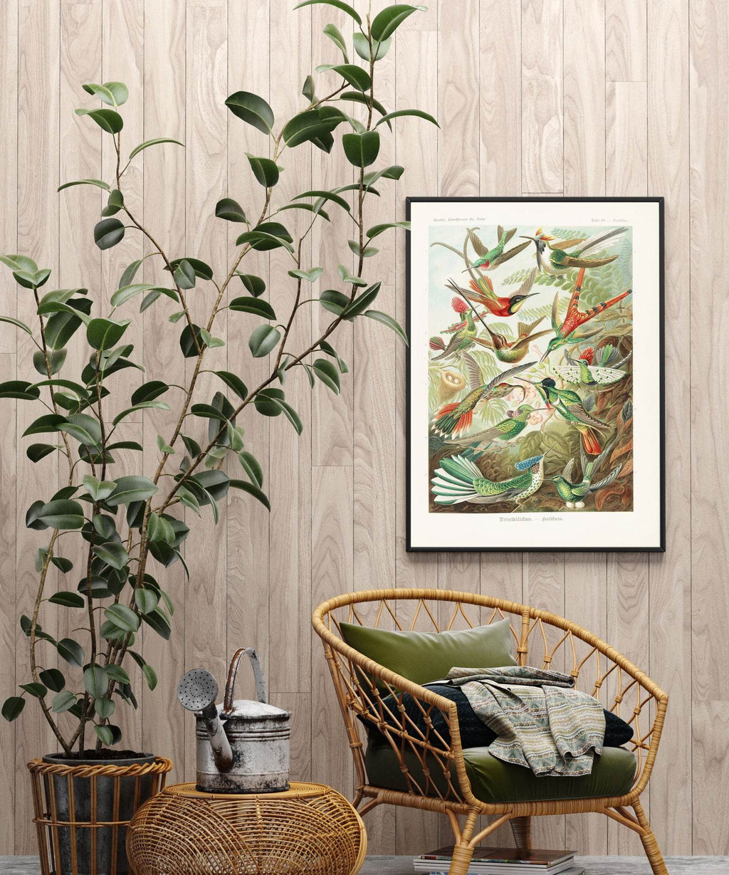 Ernst Haeckel - Trochilidae 'Kolibris' - Hakyarts