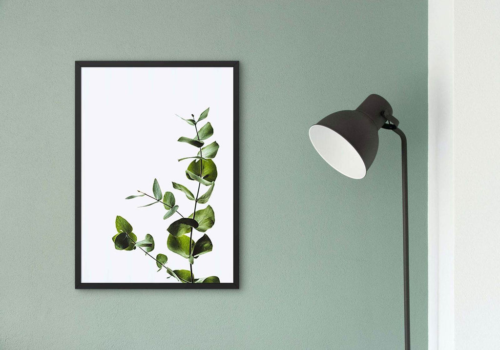 Eucalyptus No 2 Poster - Hakyarts