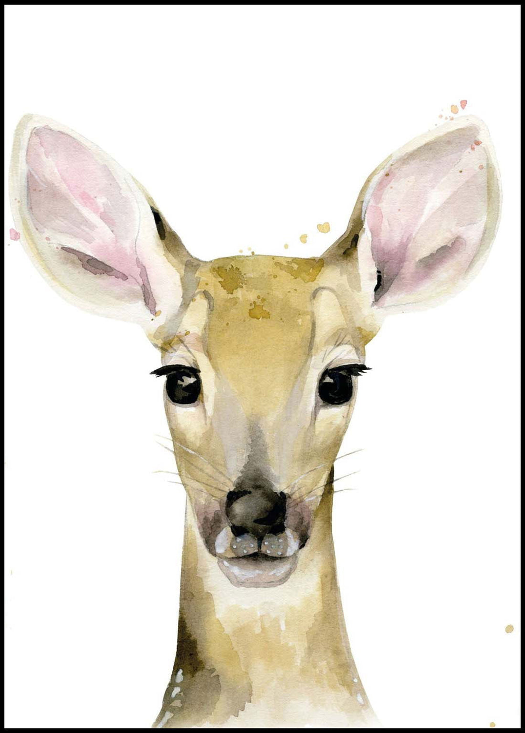 Fawn Portrait