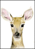 Fawn Portrait