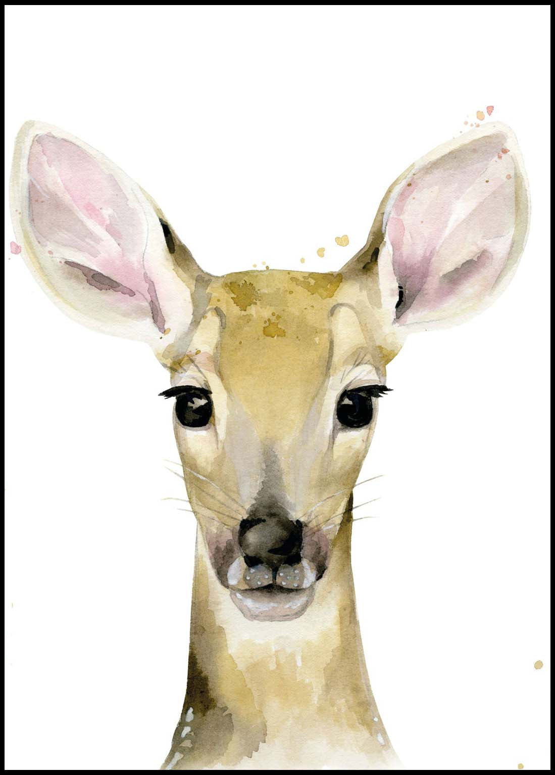 Fawn Portrait