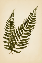 Botanical Grace – Set of 4 Art Prints - Hakyarts