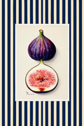 Fig Botanical – Navy – Minimalist Wall Art Print