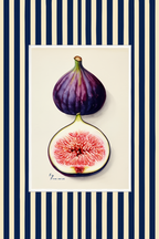 Fig Botanical – Navy – Minimalist Wall Art Print