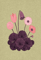 Bloom & Stem Illustration | Modern Botanical Wall Art