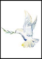 Flying Dove