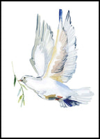 Flying Dove