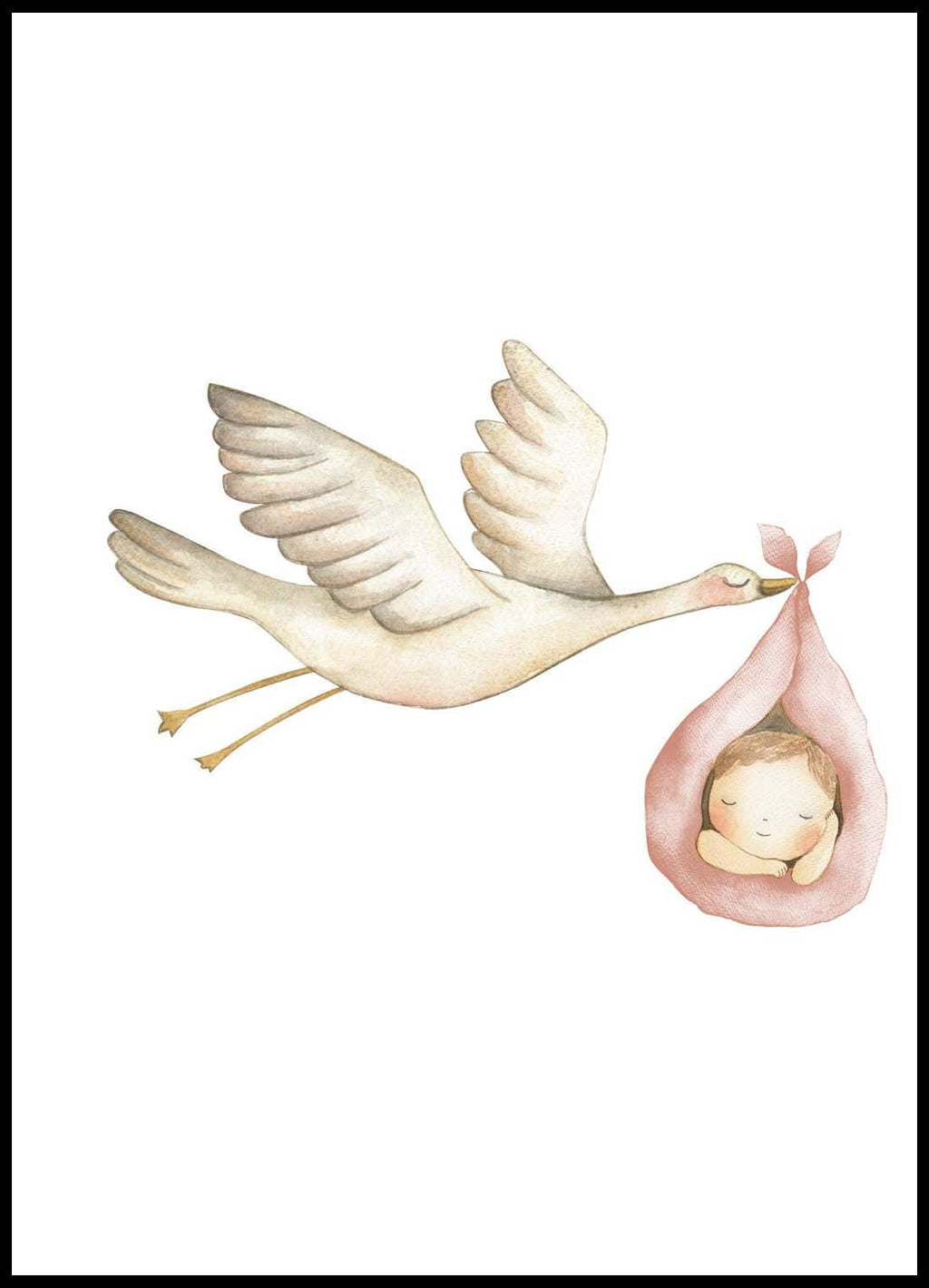 Flying Stork And Baby