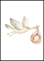 Flying Stork And Baby