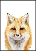 Fox Portrait