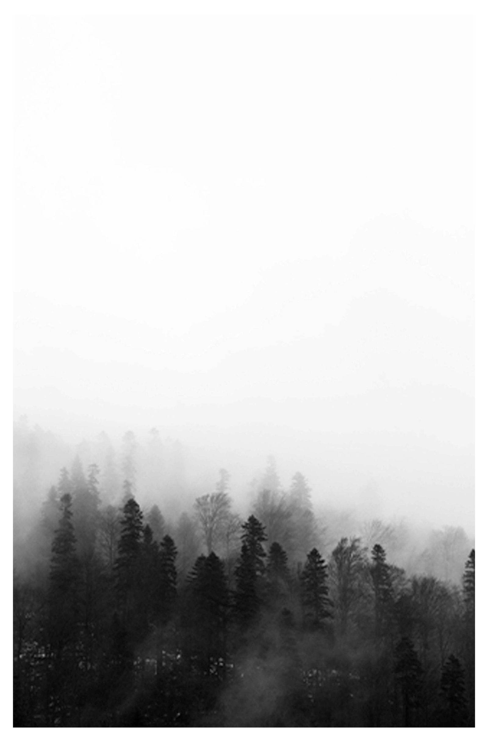 Fumes In The Forest Poster - Hakyarts