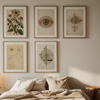 Curiosity & Discovery – Vintage Science Office Set of 5 Prints - Hakyarts