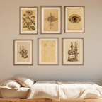 Curiosity & Discovery – Vintage Science Office Set of 5 Prints - Hakyarts