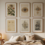 Curiosity & Discovery – Vintage Science Office Set of 5 Prints - Hakyarts