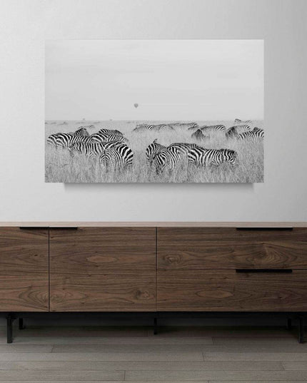 Gazing Zebras Poster - Hakyarts