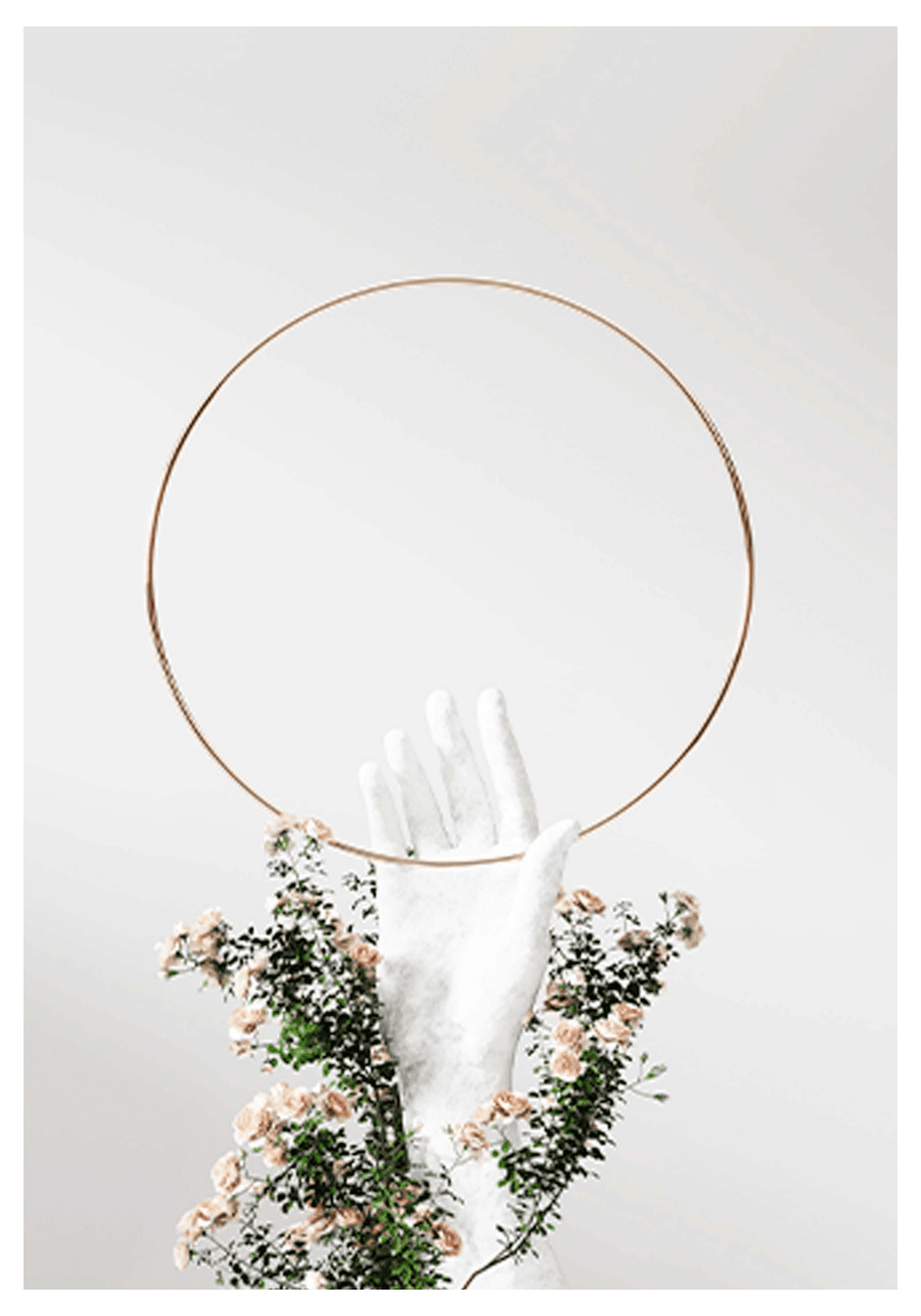 Gold Ring Poster - Hakyarts