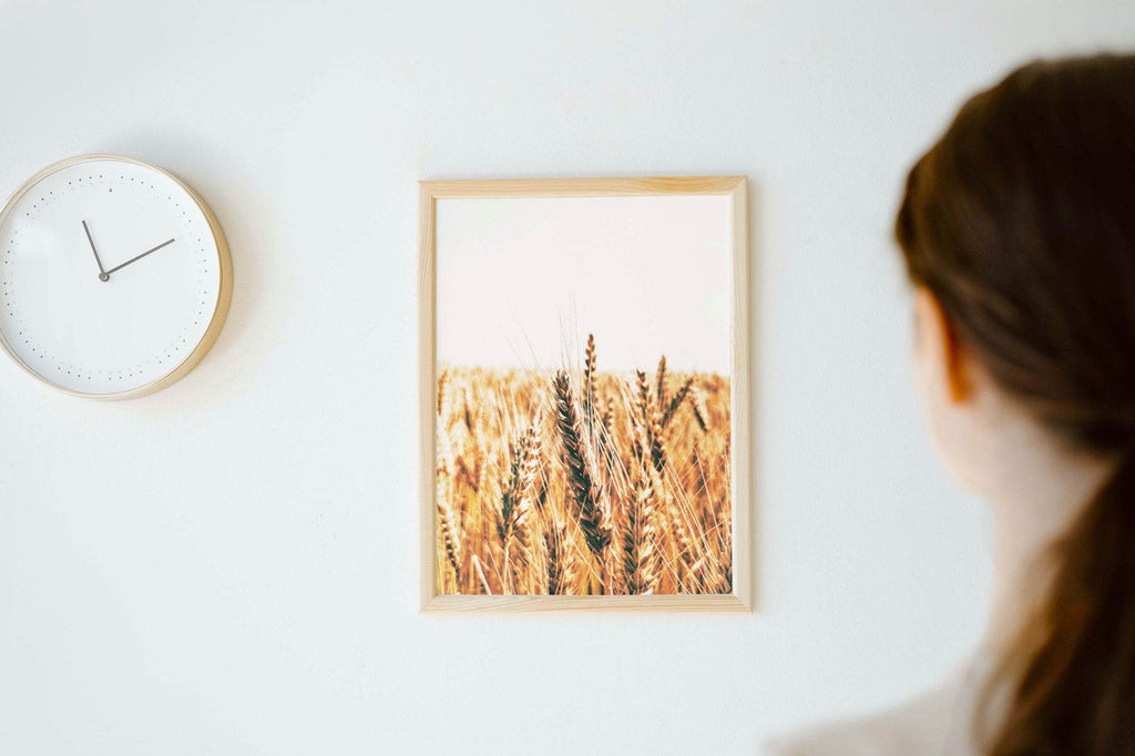 Golden Wheat Field No 1 Poster - Hakyarts