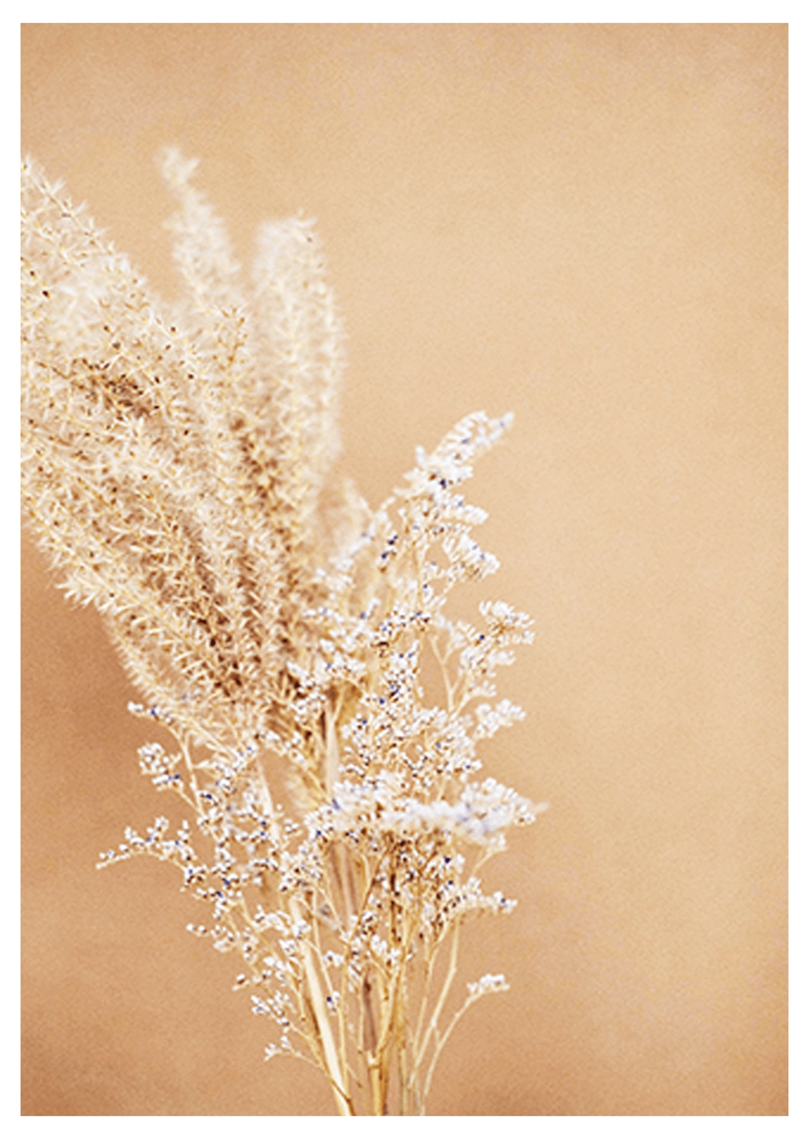 Golden Wheat No 2 Poster - Hakyarts
