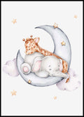 Good Night