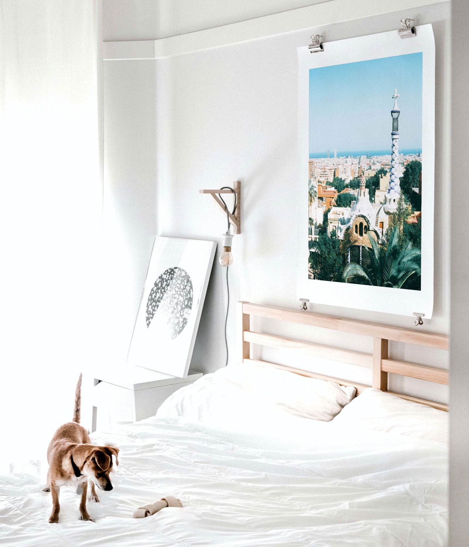 Guell Palace Poster - Hakyarts