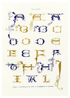 Henry Shaw - Alphabets numerals, and devices of the middle ages Pl. 22 Poster