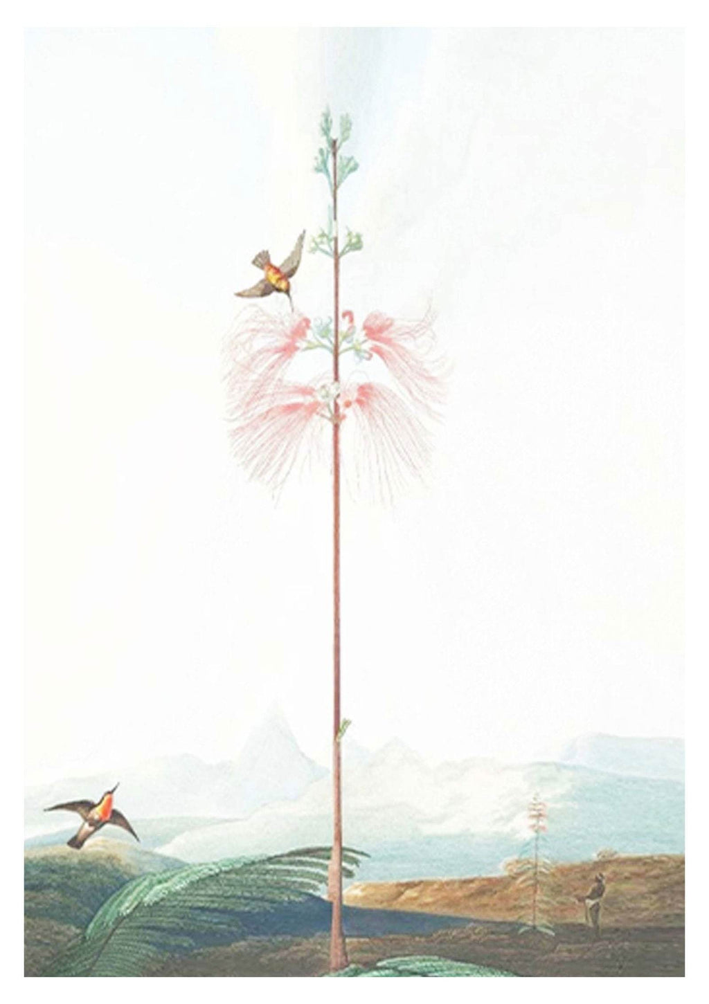 Hyacinth Floral Poster - Hakyarts