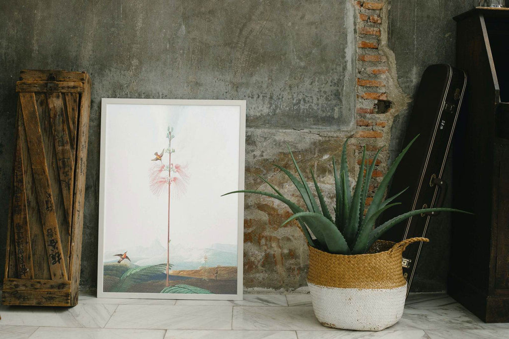 Hyacinth Floral Poster - Hakyarts