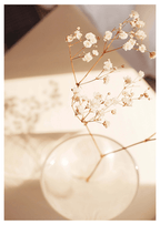 Hydrangea Poster - Hakyarts