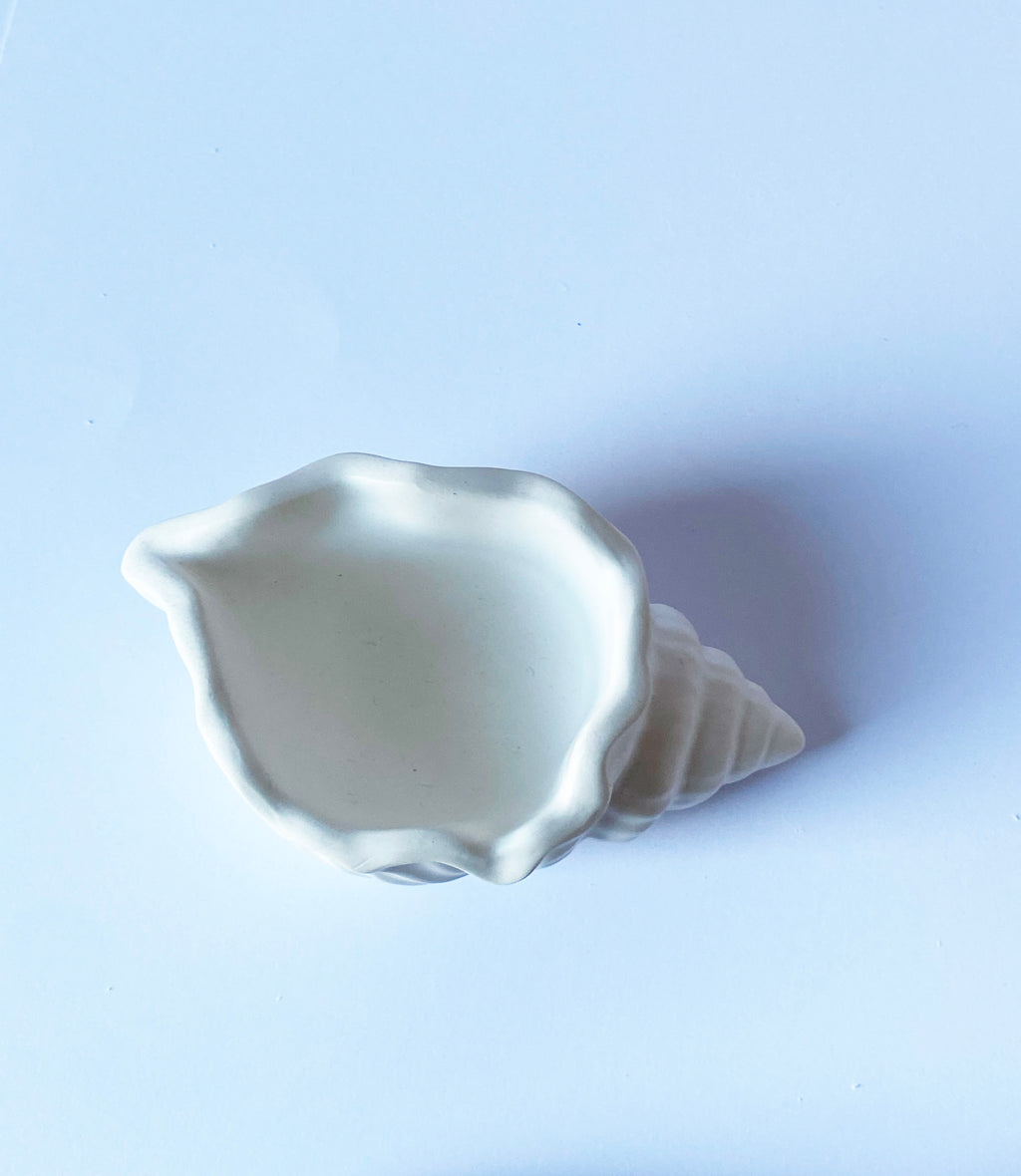 Minimalist Seashell  Storage Tray – White Cream  Home Decor