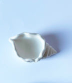 Minimalist Seashell  Storage Tray – White Cream  Home Decor