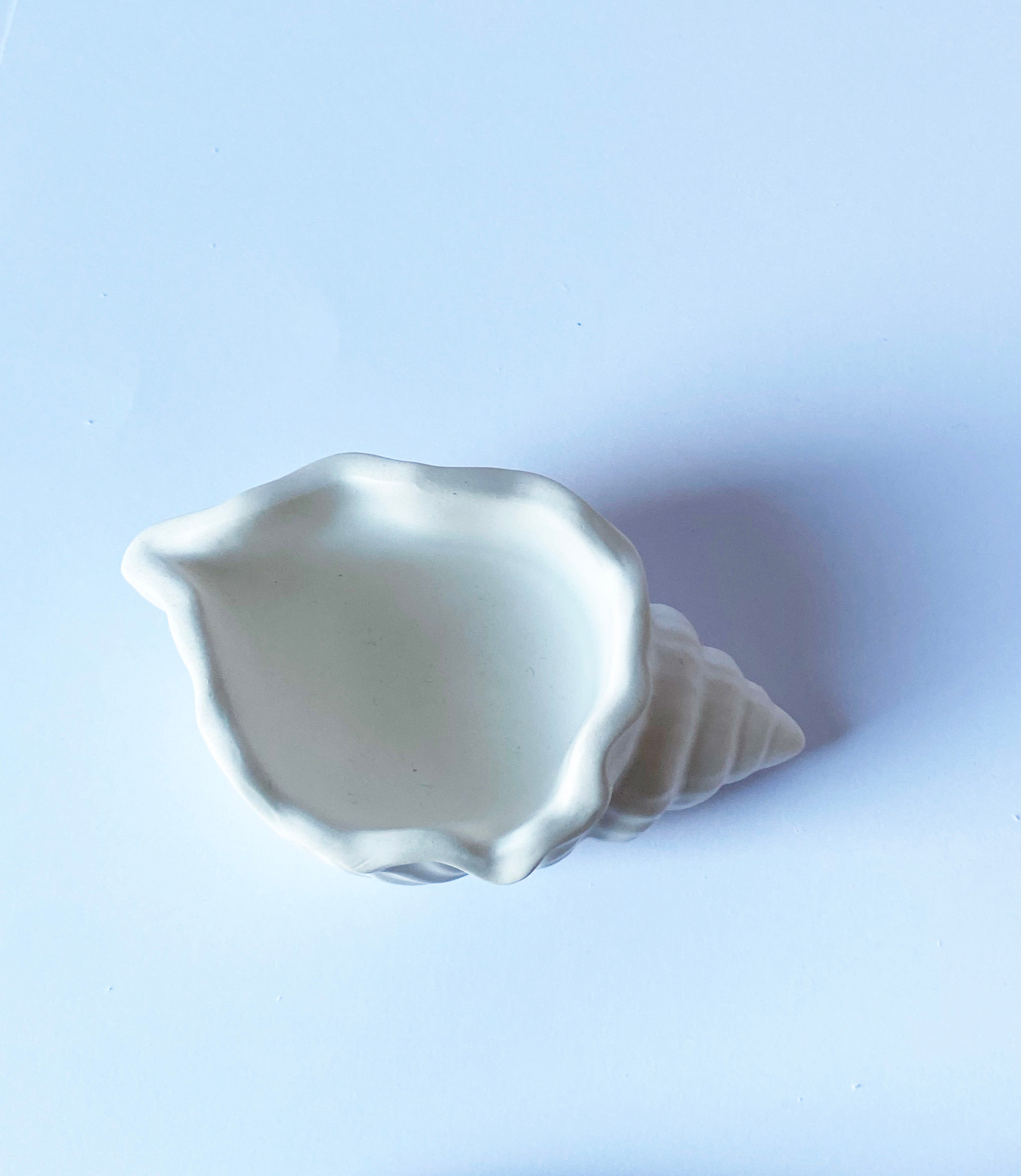 Minimalist Seashell  Storage Tray – White Cream  Home Decor