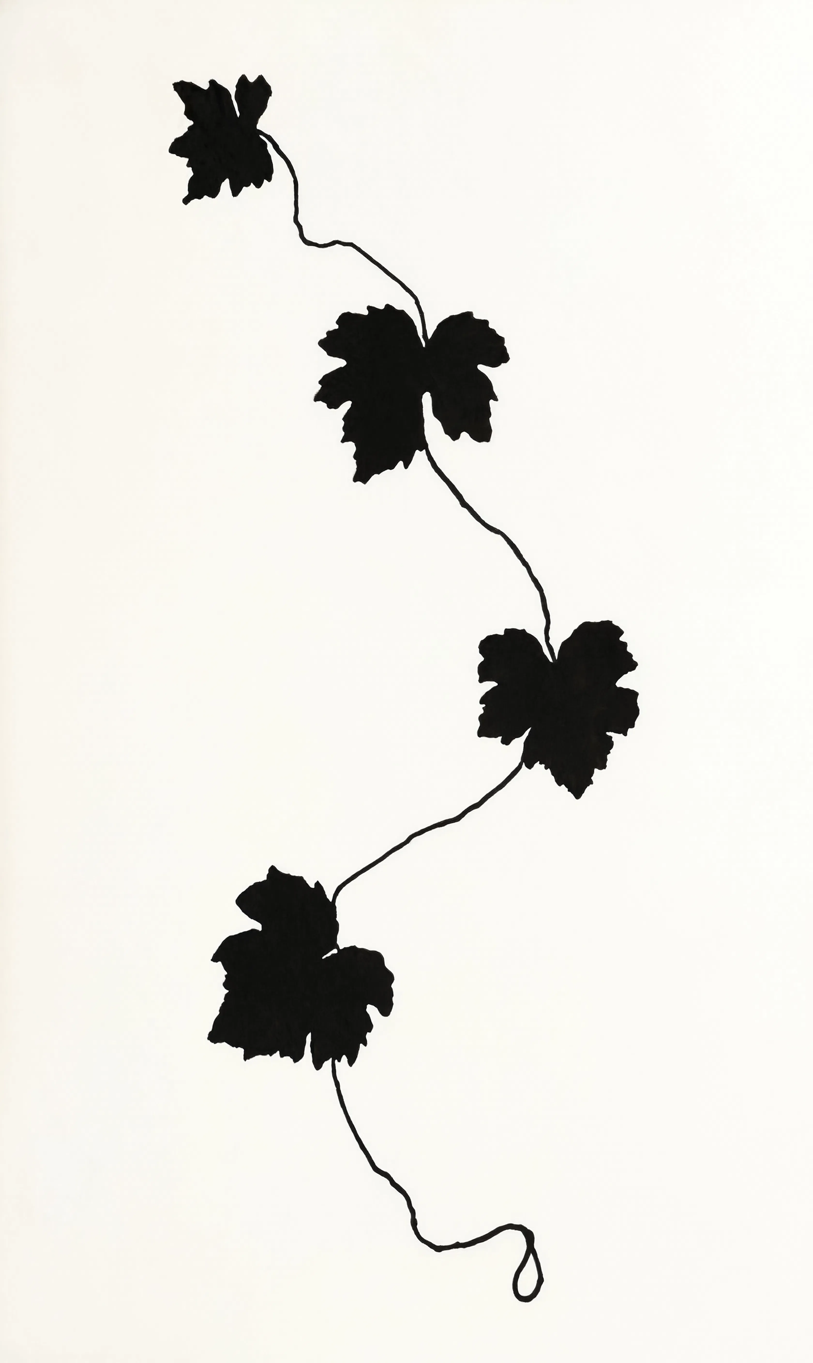 Abstract Botanical Leaves | Minimalist Monochrome Art