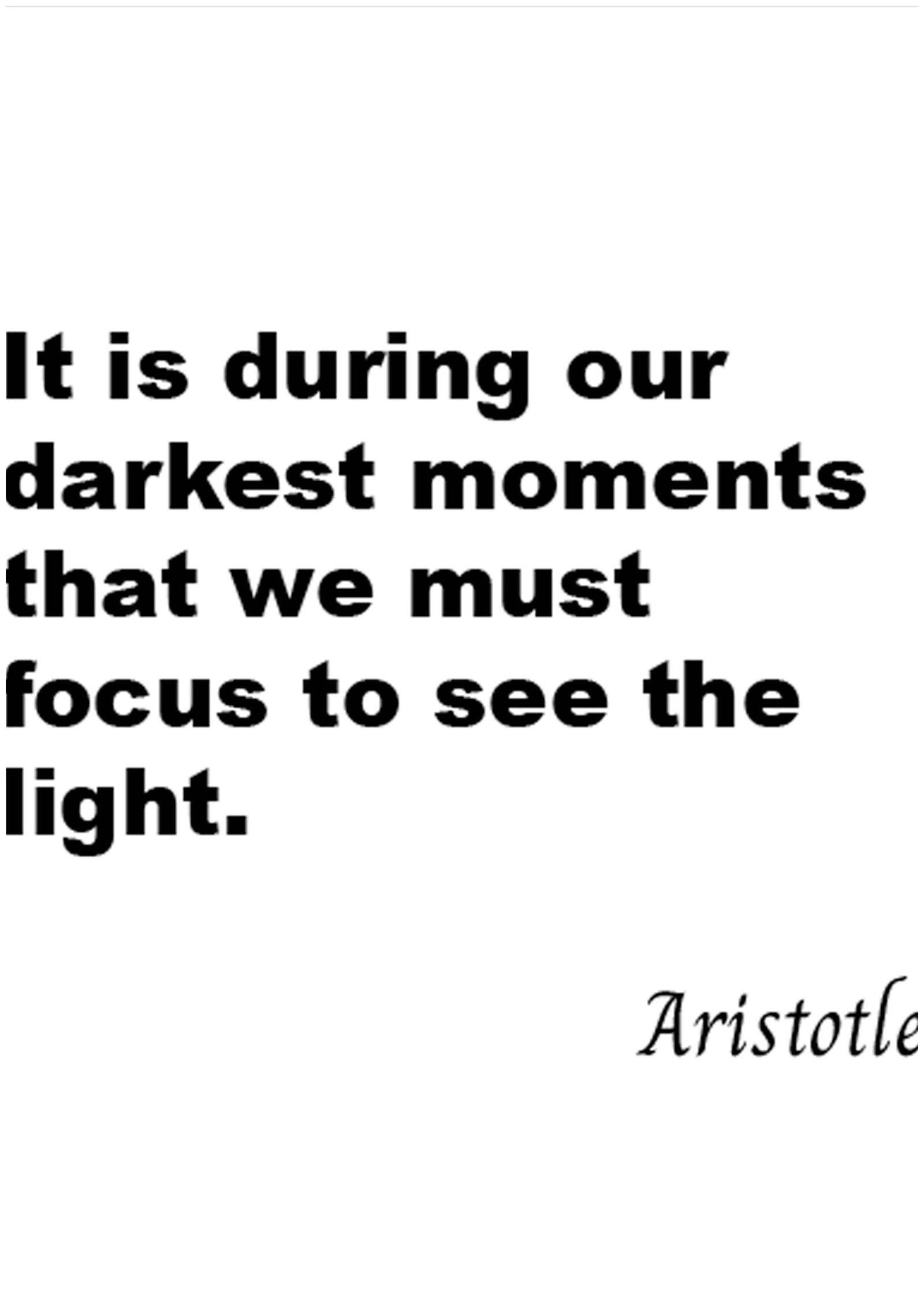 It Is During Our Darkest Moments That We Must Focus To See The Light P ...