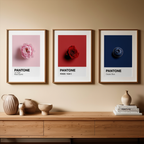 Set of 3 Pantone Inspired Colours – Minimalist Color Code Art Prints