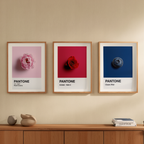 Set of 3 Pantone Inspired Colours – Minimalist Color Code Art Prints