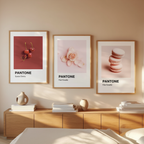 Sæt med 3 Pantone-inspirerede lyse roset- og kirsebærfarvede minimalistiske kunsttryk