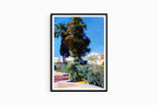 Joaquín Sorolla - Corner of the Garden, Alcazar, Sevilla - Hakyarts