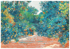 Joaquín Sorolla - Naranjos De Alcira - Hakyarts